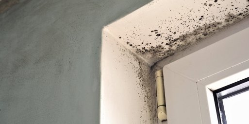 Fixing Water-Damaged Ceiling Drywall